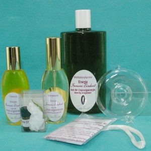 Lebendige Energie INNERE EINHEIT aus der Ursprungsenergie Set Gold