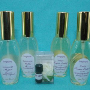 Lebendige Energien aus der Ursprungsenergie Basis Set Silber